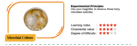 BIG BANG SCIENCE Fabricante de Juguetes ODM/OEM, Kit de Ciencia para Campamento de Entrenamiento de Detectives, Juego de Juguetes STEAM para Solución de Crímenes para Niños