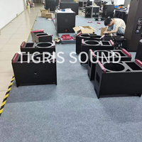 Altavoces Activos de Arreglo Lineal TG ST8 de 12 Pulgadas, Sonido para Conciertos, Bodas, Escenarios, Sistema de Sonido de Alta Potencia