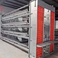 Nouveau grand équipement de poulet à œufs en couches Cage à poulets de chair cryptée épaissie entièrement automatique ferme de poulet en acier à haute productivité