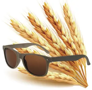 Custom Fashion Retro Unisex Eco Friendly PC Sunglasses Wheat Straw Frame Biodegradable Recycled Wheat Straw Sun Glasses For Men