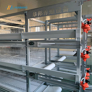 Cage automatique pour poulets de chair et volailles de type H Cage d'élevage de volailles - Product Image 3