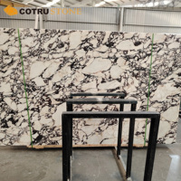 Calacatta Viola Marbre Poli Dalle Pourpre Veine pour Cuisine Comptoir Carrelage Panneau Mural Escalier
