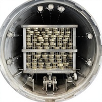 Autoclave à vapeur automatique industrielle pour sachets de soupe en aluminium avec tunnel de vapeur pour la pasteurisation des jus et la stérilisation des boissons