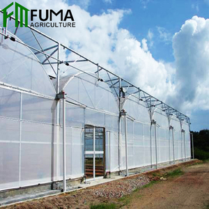 Serra Agricola Commerciale Intelligente a Basso Costo con Copertura in PE Multi-Span per la Crescita delle Piante - Product Image 6