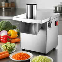 Petit coupe-légumes électrique de table pour trancher et hacher les pommes de terre, les oignons, les choux, préparation alimentaire en cuisine