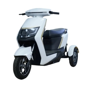 Triciclo Elettrico Inclinabile a Doppio Motore 800W*2 per Esterni, Triciclo a 3 Ruote per Salita in Collina, Vacanze, Viaggi per Anziani, Carrozzeria Aperta - Product Image 4