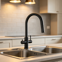 Nouveau modèle de robinet d'eau en acier inoxydable 3-en-1 avec eau bouillante instantanée