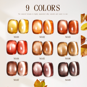 ZRKGEL Nuovo Arrivo Set Gel Occhio di Gatto 15ml 9 Colori Alta Qualità Etichetta Privata Senza HEMA e TPO Set Gel Magnetico per Autunno e Inverno - Product Image 5