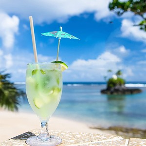 Biodegradable Pla Straight Drinking Straw Disposable Straws