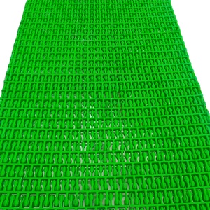 Op Maat Gemaakte Modulaire Plastic Kettingplaat Gaasband Transportband Voedselverpakking Nylon Transportband Schroef Transportband Type Assemblagelijn