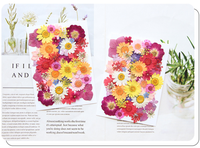 Sac de mélange de fleurs pressées série quatre saisons assortiment de fleurs et de feuilles colorées pour maquillages en résine