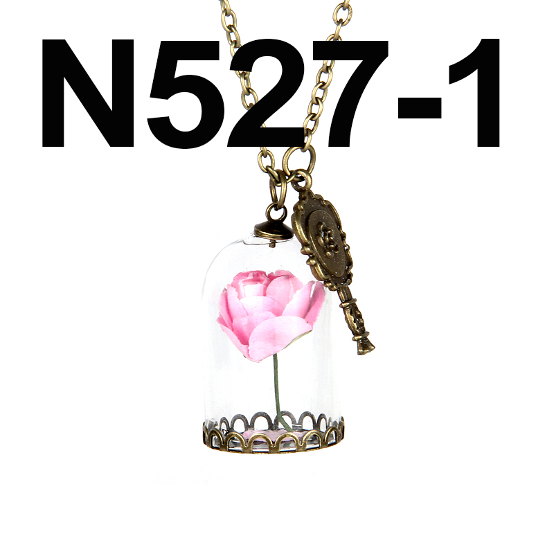 N527 1