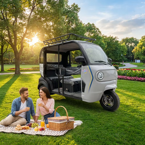 Tricycle Électrique Compact YS, Origine Shandong, >60V, Cabine Ouverte, Porte-Bagages/Porte-Marchandises, Véhicule de Transport Électrique Domestique à Basse Vitesse - Product Image 4