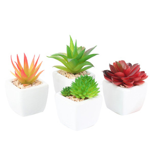 가정용 욕실 또는 작은 공간 장식을위한 플라스틱 냄비에 작은 흰색 인공 다육 식물 - Product Image 6