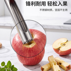 Stainless Steel Fruit Pitter Core Remover Kitchen Gadget Easy To Clean Hand Wash Only - Product Image 2