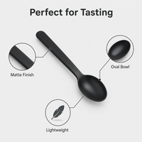 Cuillère à Parfait Noire Mate 160mm, Ustensile de Dessert en Plastique Jetable à Long Manche, Vente en Gros pour Banquets et Fêtes