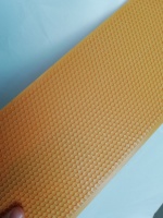 BEESTAR Gelbe Bienenwachs-Grundplatte – Neuwertiges Imkerei-Werkzeug für Bienenstockrahmen – Kunststoff-Bienenstock-Werkzeugset