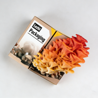 Boîte d'emballage personnalisée pour kit de culture de champignons, vente en gros à bas prix, avec poignée, étanche, pour kit de champignons frais, en papier kraft