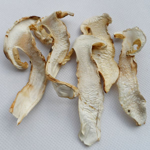 Seta de pino salvaje Song Rong auténtica salvaje liofilizado <span class=keywords><strong>Tricholoma</strong></span> <span class=keywords><strong>Matsutake</strong></span> - Product Image 3