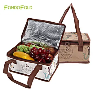 Fondofold Großhandel Custom Faltbare PP Woven Insula ted Thermal Werbe druck Kühler Dosen tasche Lunch Tote Box Taschen