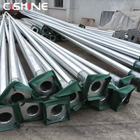 Poste de Luz de Acero Galvanizado en Caliente Cishine para Exteriores, de 8m y 9m, con Brazo Curvo Simple o Doble, Precio de Poste para Alumbrado Público en Carreteras y Autopistas