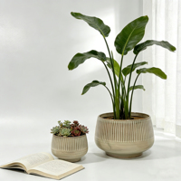 Pot de fleurs pour plantes succulentes, fabrication directe d'usine, durable, imperméable, fait à la main, résistant aux intempéries, pots en céramique pour ornement de jardin moderne