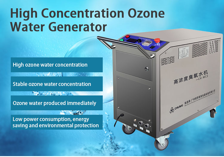 เครื่องทำน้ำโอโซนความเข้มข้นสูงที่ละลายน้ำด้วยมือสำหรับฟาร์มปลา 11