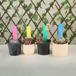 Mini étiquettes pour plante de <span class=keywords><strong>jardin</strong></span>, étiquettes pour pépinière et <span class=keywords><strong>jardin</strong></span>, étiquettes de semis, décoration de carte en plastique - Product Image 2