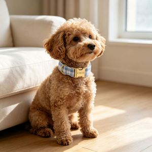 Custom Sport Pet Collar Personalized Engravable Name Phone Number Address Adjustable <b>Dog</b> Collars Boy Girl Small Medium Large - Product Image 5