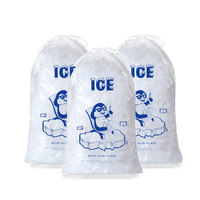 Sac à glace en plastique transparent personnalisé de qualité alimentaire 8 lb 10 lb 20 lb réutilisable en PP avec cordon de serrage pour l'emballage au congélateur