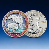 Fabricant Professionnel de Pièces Métalliques Personnalisées en Cuivre Plaqué Bicolore, Fournisseur en Gros, Récompense de Reconnaissance OEM, Cadeau