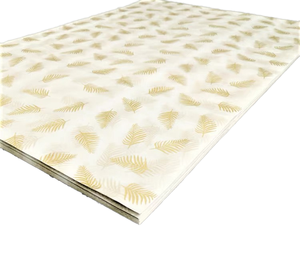 Sẵn Sàng Để Tàu 100Pcs 17gsm Trắng Đặc Sản Giấy Tráng Với Vàng Trái Tim In Ấn Cho Quần Áo Giày Thủ Công Mỹ Nghệ Giấy Gói - Product Image 1