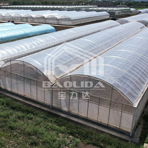 Invernadero Tipo Quonset, Invernadero de Túnel, Invernadero Multi-span - Product Image 1