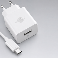 Kit Pengisian Daya Cepat 10W Kabel Tipe-C OEM Colokan EU Port USB Tunggal Bersertifikasi CE untuk Smartphone & Tablet Kemasan Kotak Berwarna