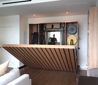 Sistema de Almacenamiento de Fitness Plegable para Gimnasio en Casa, Montado en la Pared, Estilo Crossfit, con Barra de Dominadas y Soporte para Pesas