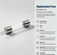 Fusible de remplacement KB-SHN1196 compatible avec les imprimantes à jet d'encre continu KGK CCS-R JPT-D, pièces compatibles pour imprimantes CIJ