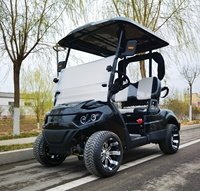 Nuevo Modelo 2025: Carro de Golf Eléctrico de 2 Plazas con 4 Ruedas y Soporte para Bolsa de Pelotas, Buggy Eléctrico para Caza en Venta