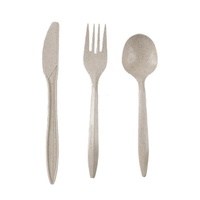 Couverts jetables en paille de blé Ensemble de cuillères Fourchette à gâteau Pizza Couteau à emporter Vaisselle biodégradable commerciale