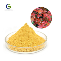 Extrait de fraise biologique Fisetin Prix Complément alimentaire Qualité alimentaire 98% Extrait de Fisetin en poudre