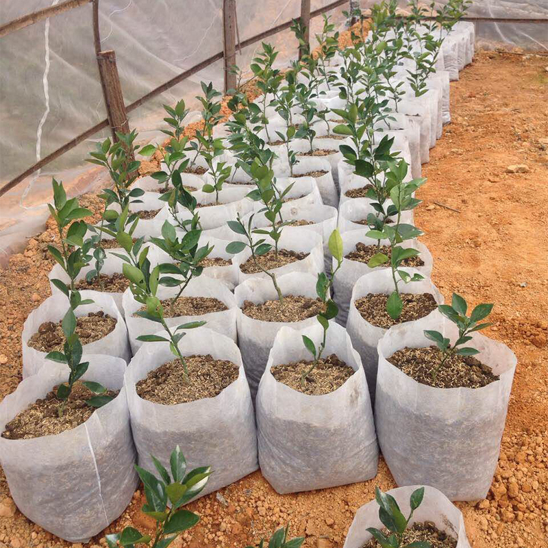 Thickened Permeable Non Woven Plant Nursery