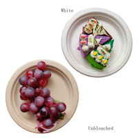 Assiette jetable pour enfants de 7 pouces en bagasse réutilisable, facile à jeter pour les pique-niques