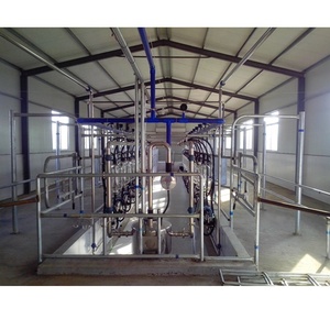 Os de poisson à haut rendement meilleur pour le <span class=keywords><strong>prix</strong></span> automatique de la machine à traire de <span class=keywords><strong>vache</strong></span> de chèvre de ferme laitière - Product Image 2
