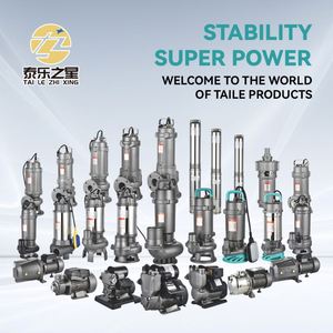 ปั๊มจุ่มใต้น้ำ QDX 0.37KW ขนาดกะทัดรัด ทนทานต่อการกัดกร่อน เหมาะสำหรับการชลประทานในสวน ถังเติมอากาศ จ่ายน้ำ และระบายน้ำ - Product Image 3