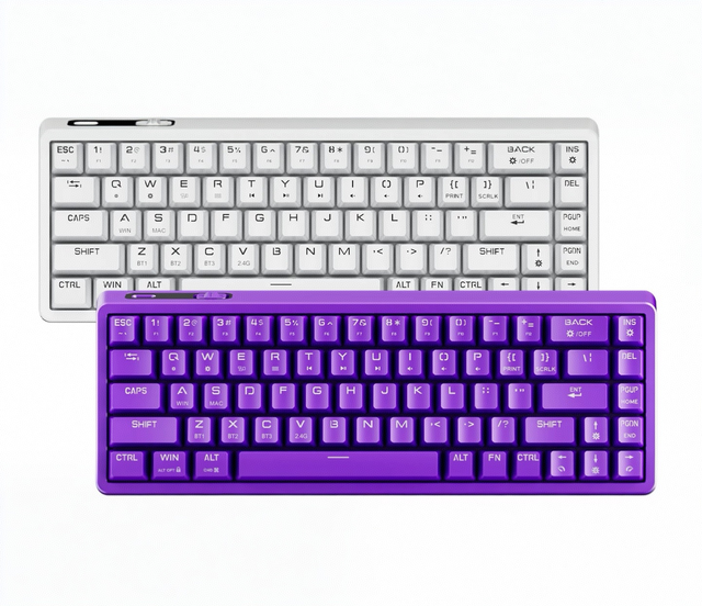 TAIDU KB02 Tri-mode 68 Keys Cheap Wireless Mechanical Keyboard Hot Swap Gasket RGB Light Gaming