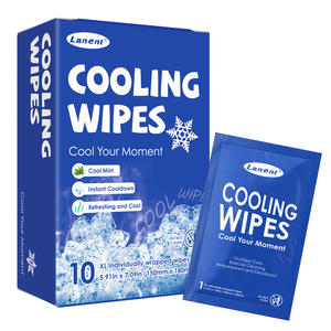 Toallitas Húmedas Refrescantes para el Cuidado de la Piel, Empaquetadas Individualmente, Portátiles, para Exteriores, para una Limpieza Eficaz - Product Image 1