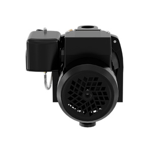 Bomba de chorro para pozos poco profundos/profundos de 1HP, hierro fundido, bomba de chorro convertible de termoplástico Flotec de 1HP - Product Image 3