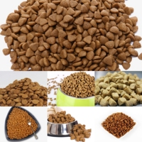 Croquettes séchées Machine à aliments pour chiens Extrudeuse Ligne de traitement d'aliments pour animaux de compagnie Chien Chat Machine à aliments pour animaux de compagnie Usine