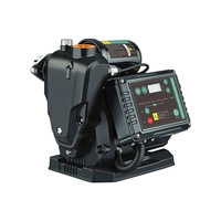Pompe à fréquence variable domestique 900W WZB-DC onduleur Intelligent pompe périphérique auto-amorçante Booster automatique avec moteur PMSM