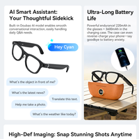 Gafas Inteligentes con IA, Cámara, Grabación de Video, Traducción, Asistente ChatGPT, Proveedor Mayorista de Fábrica