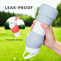 Nouvelle arrivée, bouteille d'eau potable en silicone d'extérieur, bouteille pliable portable pour les voyages